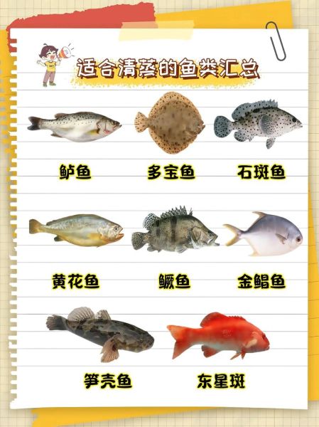 许多小鱼怎么养_许多小鱼吃什么