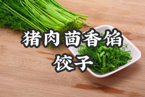 茴香猪肉饺子馅怎么做_茴香猪肉饺子馅怎么调好吃