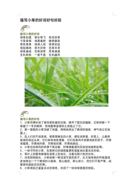 绿绿的草怎么形容_绿绿的草有哪些品种