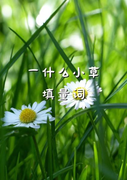 绿绿的草怎么形容_绿绿的草有哪些品种