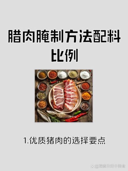 烧肉怎么腌制入味_烧肉用什么部位最好