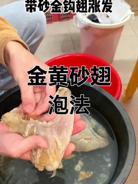 鱼翅最简单的做法_鱼翅怎么泡发才软