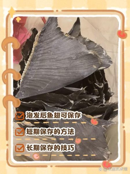 鱼翅最简单的做法_鱼翅怎么泡发才软