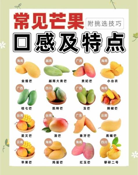 芒果词语是什么_芒果网络用语含义