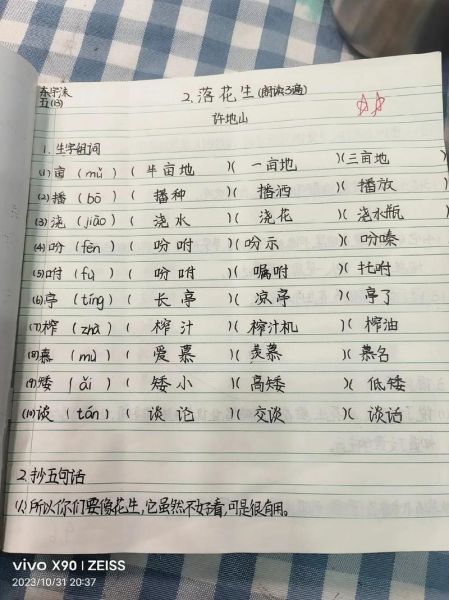 舒适组词语有哪些_如何快速记忆