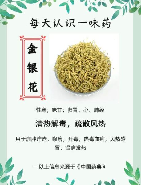金银花怎么晒干_金银花晒干的正确方法