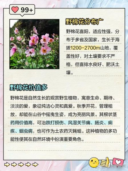 野花组词语有哪些_野花怎么造句