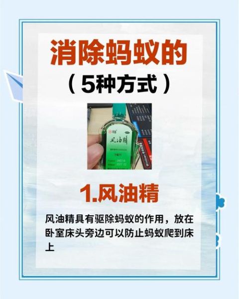 蚂蚁搬家前兆是什么_如何正确灭蚂蚁