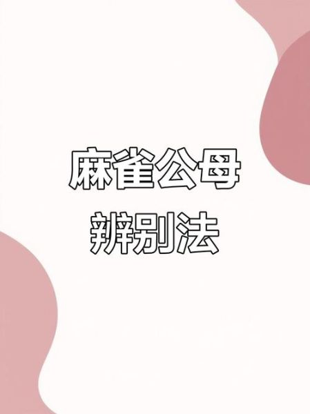 麻雀叫声代表什么预兆_麻雀叫吉凶解析