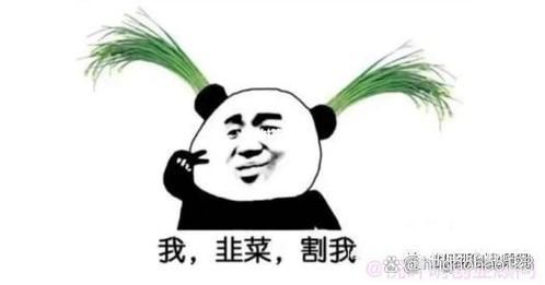 孕妇梦到割韭菜是什么意思_孕妇梦见割韭菜生男生女