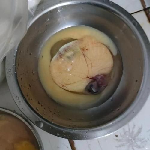 梦见鹅蛋是什么意思_鹅蛋梦境解析