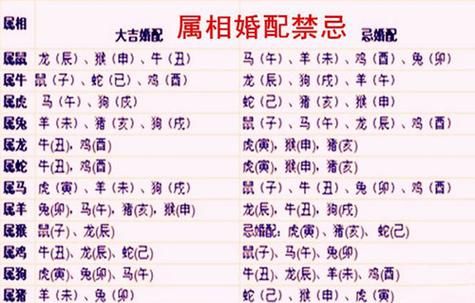 龙属相和什么属相相冲_龙属相与哪些属相不合