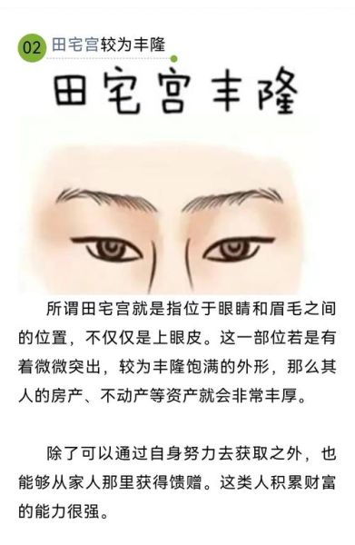 额头饱满财运旺吗_额头低会影响财运吗
