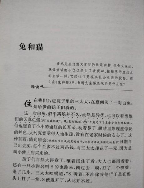 兔子和猪属相合不合_兔猪婚配好吗