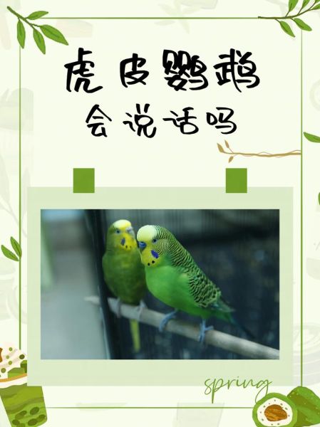 梦到鹦鹉说话是什么意思_鹦鹉说话梦境解析