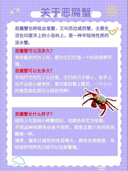 魔蟹座今日运势如何_魔蟹座今天适合做什么