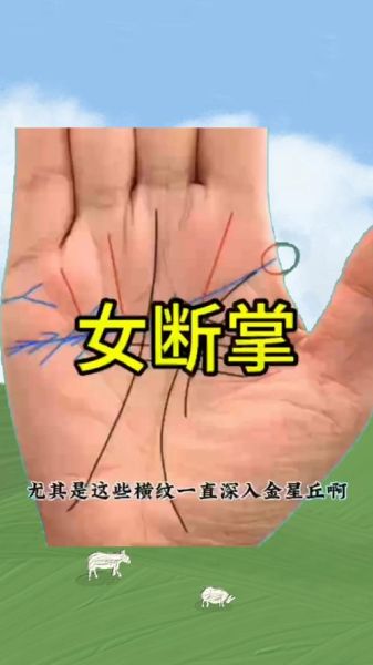 双手断掌手相财运_双手断掌的人真的会大富大贵吗