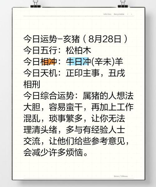 1971属猪今日财运_今日财运如何