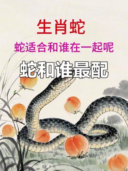 狗和蛇的属相合不合_婚姻配对好吗