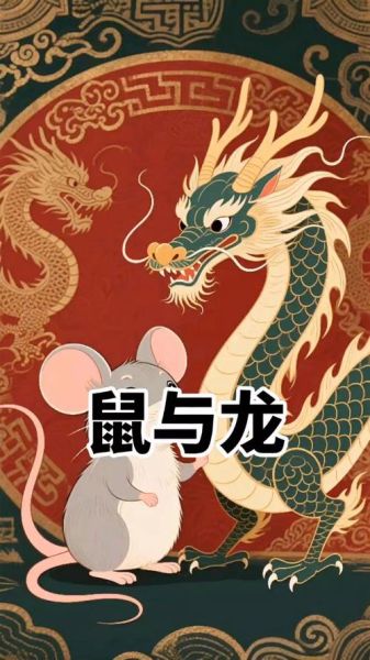 鼠和龙相配财运如何_鼠龙合财吗