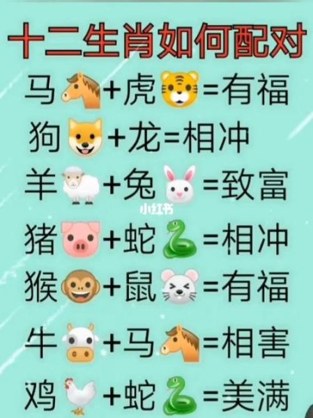 马配对的属相有哪些_马和什么属相最配