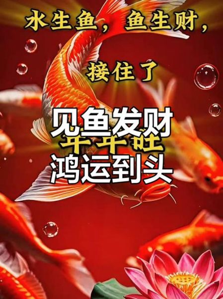 鲤鱼财运_如何提升