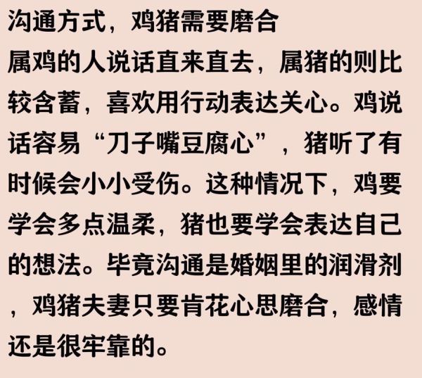 属猪和属鸡的婚姻合不合_属猪和属鸡的家庭如何相处