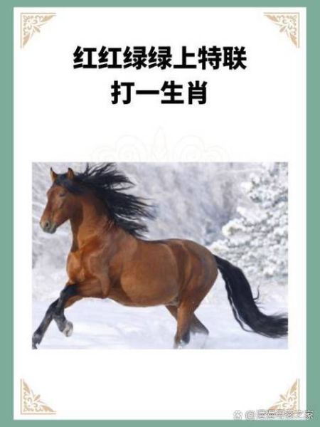 马人本周运势_如何提升财运