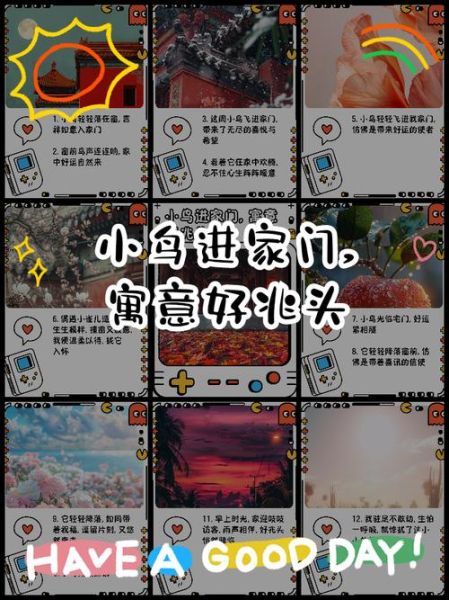 梦到小鸟是什么意思_梦见小鸟飞进屋里代表什么