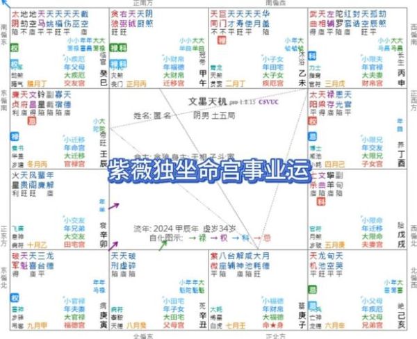 紫薇星今日运势_如何提升财运