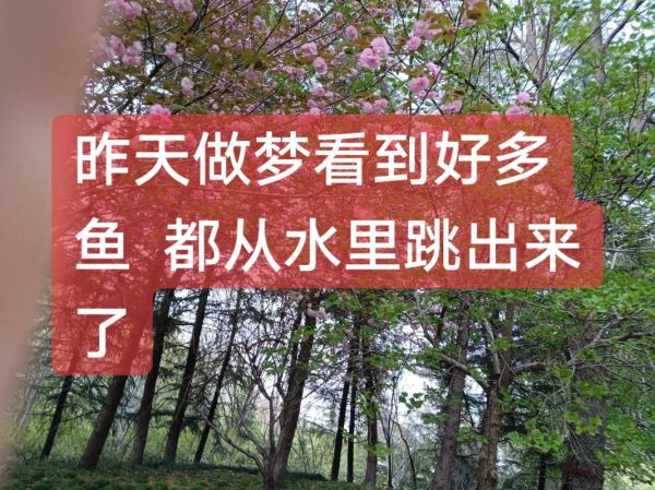 梦到涨大水好多鱼是什么意思_周公解梦涨大水好多鱼