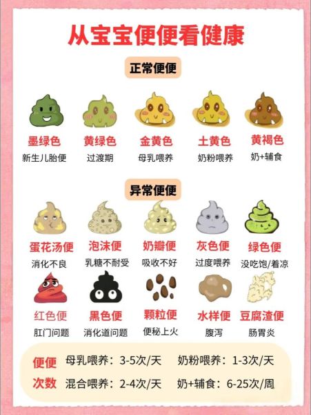 梦到孩子拉屎是什么意思_孩子拉屎梦境解析