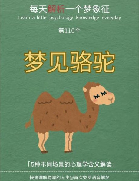 梦到沙漠是什么意思_如何解梦