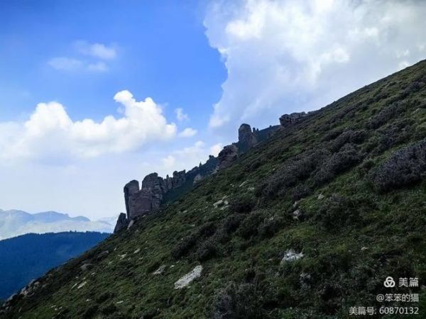 猫游记运势怎么看_猫游记今日运势查询