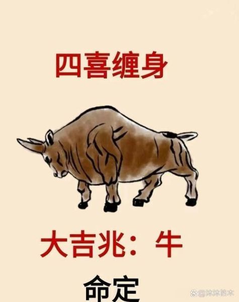 牛人财运图怎么看_牛人财运图真的准吗