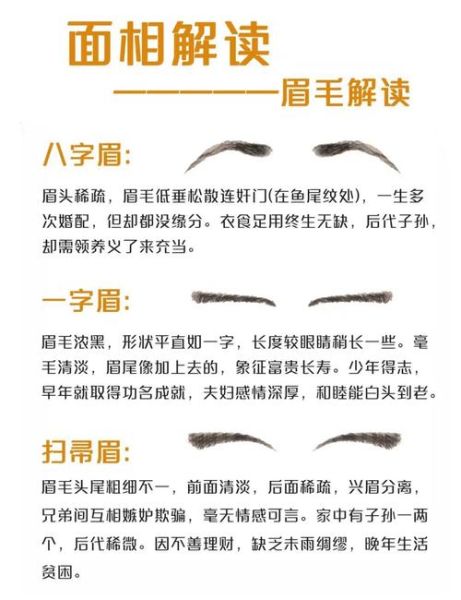 眉毛财运_如何通过眉毛看财富运势