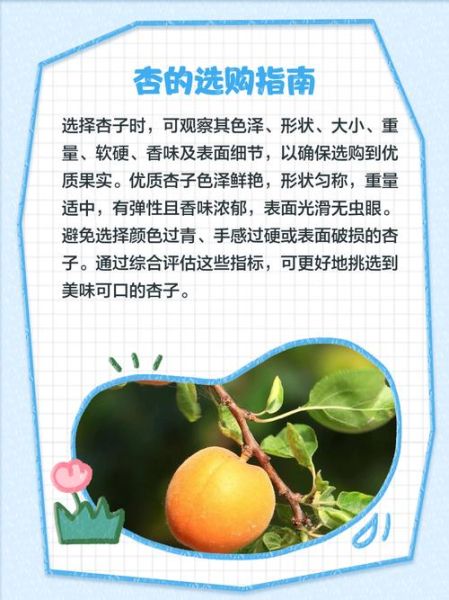 梦到买杏是什么意思_梦见买杏预示什么