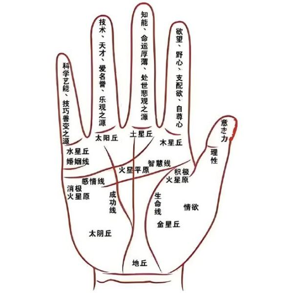 财运线歪曲代表什么_如何改善财运线歪曲