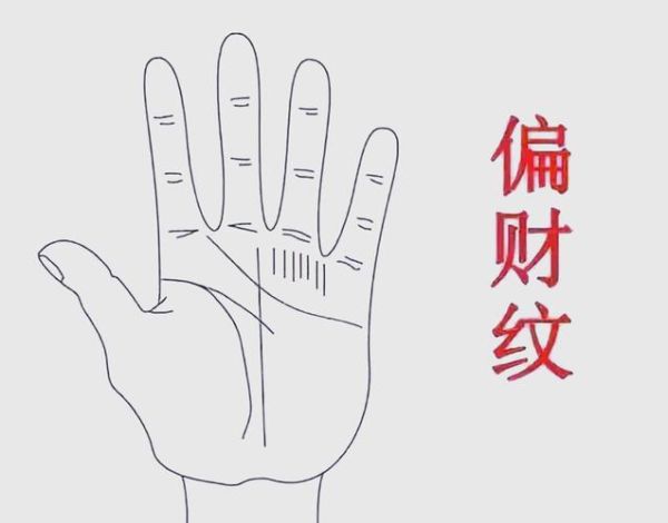 财运纹上有交叉_代表什么