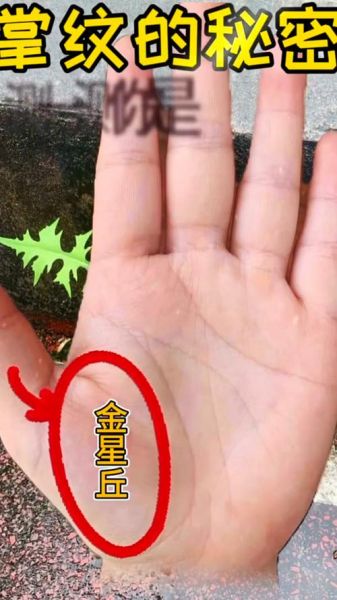 金星丘怎么看财运_金星丘饱满代表什么