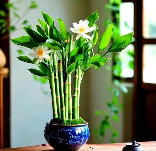 放什么改善财运_家里摆什么招财