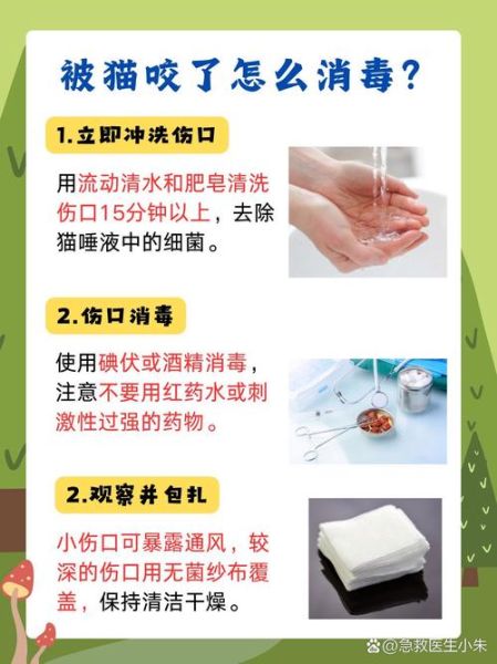 梦到被白猫咬是什么意思_被白猫咬预示什么