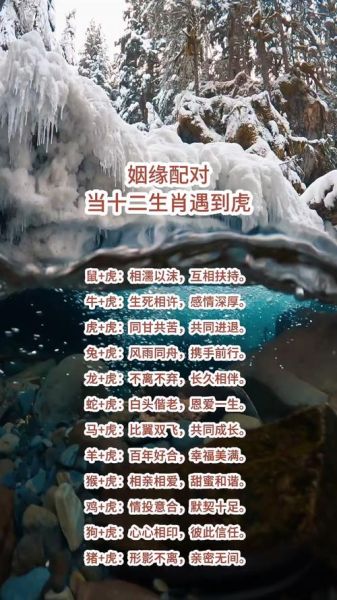 虎和什么属相合_虎与哪些生肖最配