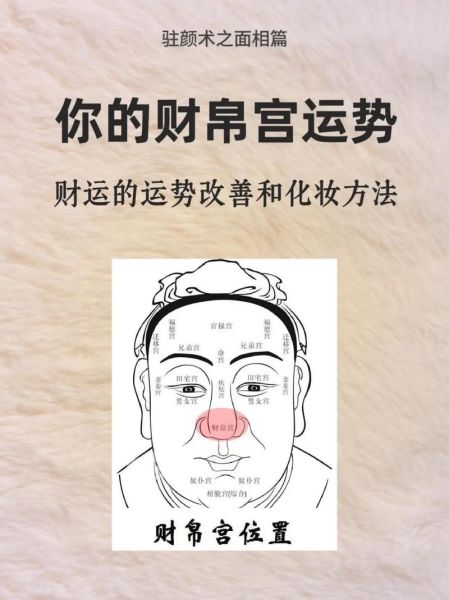 鼻梁看财运怎么看_鼻梁高财运一定好吗