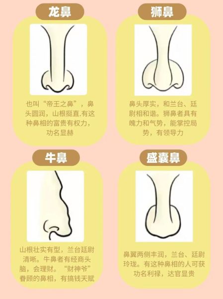 鼻子面相看运势_鼻子塌会影响财运吗