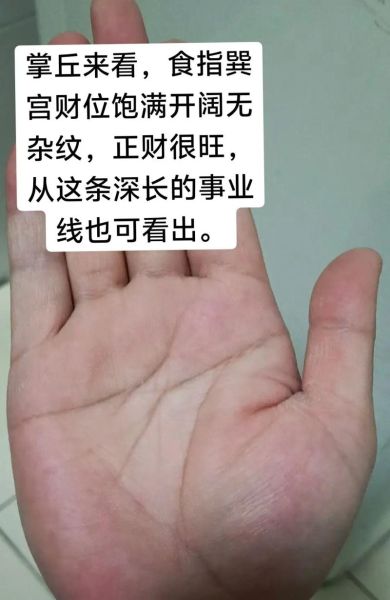 财运起伏线怎么看_财运线断了会破财吗