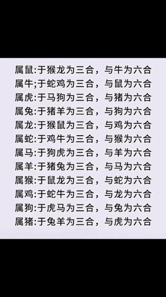 狗和什么属相相冲_如何化解生肖不合