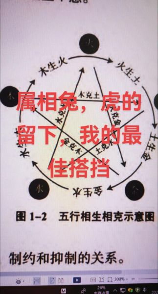 属兔和属虎的合不合_属兔和属虎的婚姻怎么样