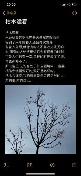 梦到枯树是什么意思_枯树在梦里预示什么
