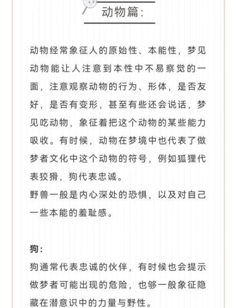 梦到好多小动物是什么意思_梦见小动物成群结队